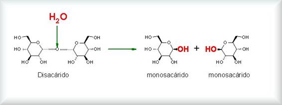 diagrama de disacárido