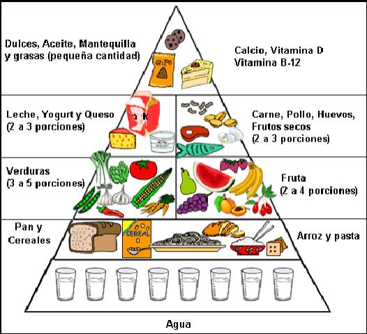 Modelo de dieta equilibrada :