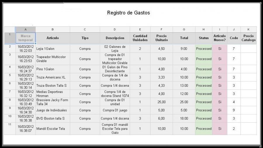 Modelo De Los Registros De Gastos