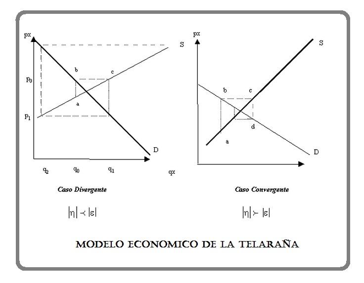 Modelo economico de la telaraña :