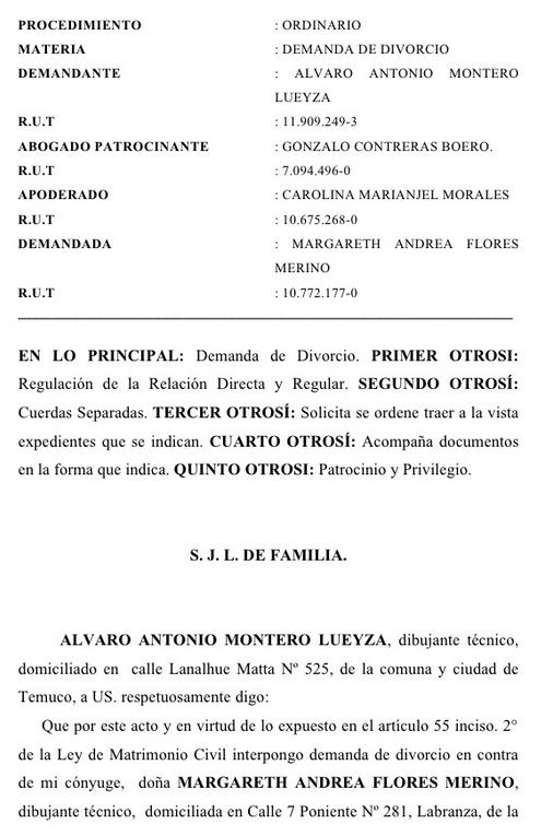 Modelo de demanda de divorcio argentina :