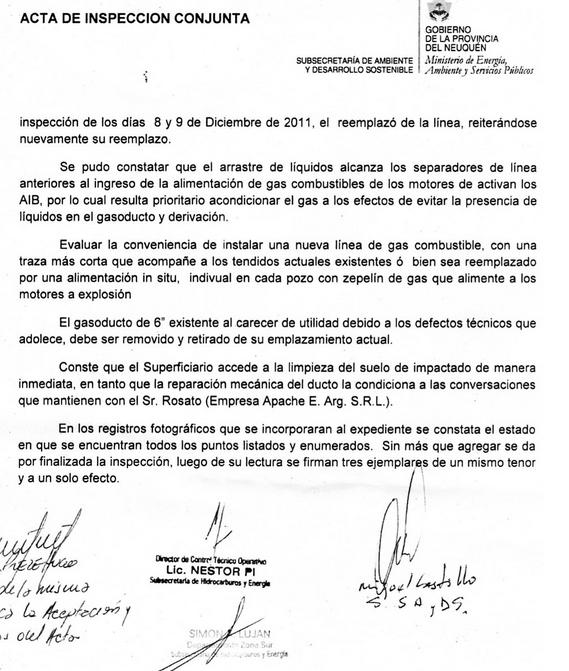 Modelo actas de inspección :