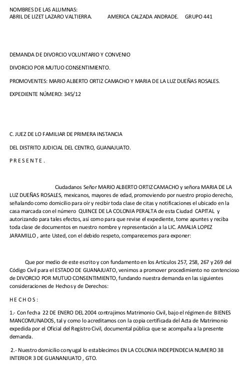 Modelo de demanda de divorcios sin hijos ni bienes