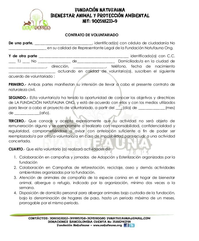 Modelo de contrato de trabajo voluntario :