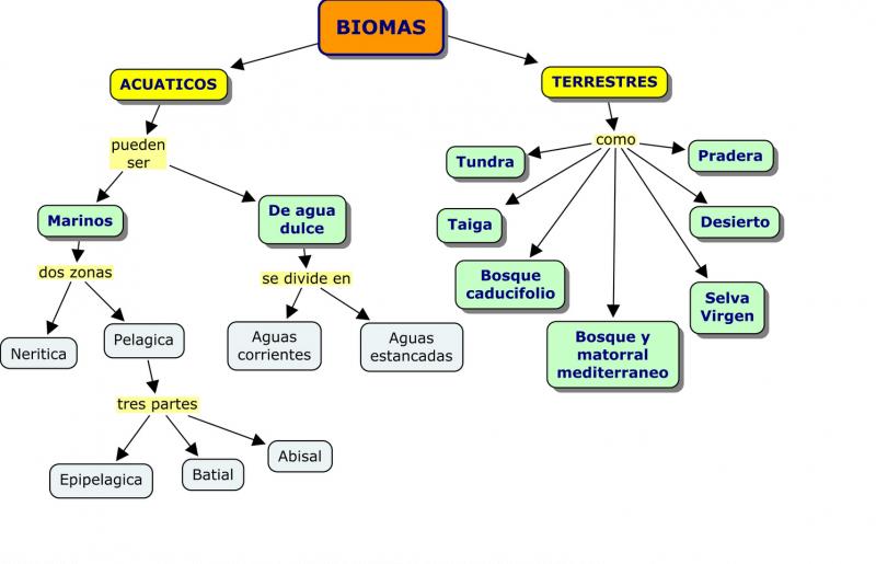 Ejemplo de bioma