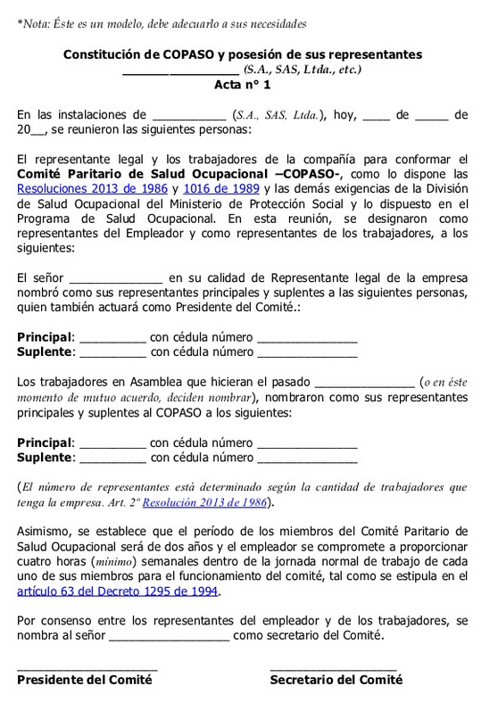 Modelo de acta copaso