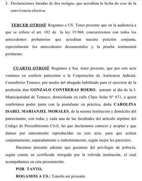 Modelo de demanda de divorcio sin separación previa